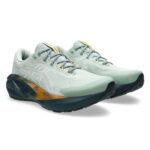 Mens-ASICS-Novablast-5-TR-NatureBathing_LichenRock-1011C138-300.jpg
